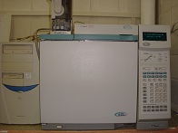 Хроматограф газовый Agilent 6890D, FID