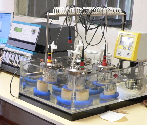Компьютеризированная система  параллельных биореакторов DASGIP для определения активности микроорганизмов